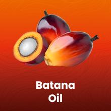 Arctic Beauty Liquid Batana Oil (5 oz.) - with Rosemary, Castor, & Pumpkin Seed Oil - 100% Pure and Unrefined Honduran Oil - Natural Haircare