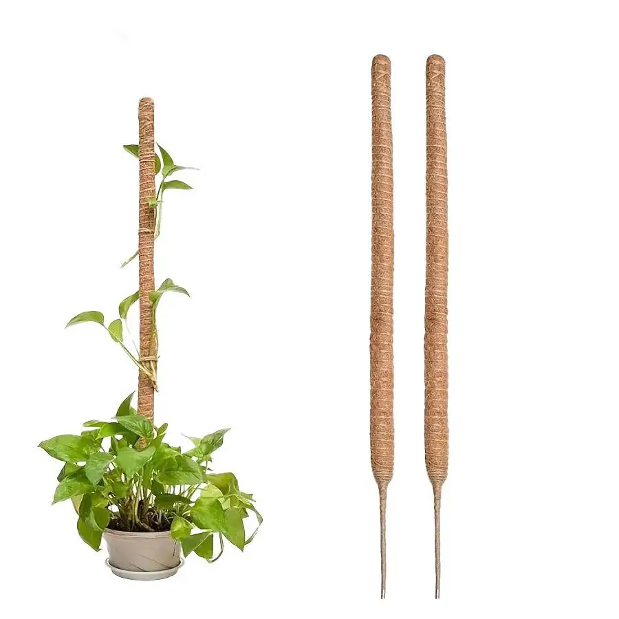 Moss Pole, 2 Counts Flexible Durable Climbing Plant Growth Support, Beautiful Coconut Rod for Indoor Balcony Garden Pot Plant