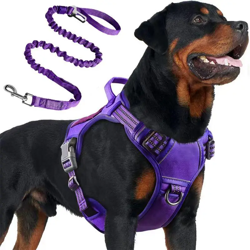 Adjustable Dog Harness with Leash, Reflective Dog Training Vest, Pet Supplies for Small Medium Large Dogs, Dog & Cat Accessories