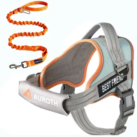 AUROTH No-Choke No-Pull Dog Harness and Leash Combo, Nylon Fabric with Elastic Band, Reflective Strips, Detachable Design, Handy D-Ring, Soft Padded, Adjustable, Easy On & Off for Walking, Training (Small/Medium/Large Dogs)