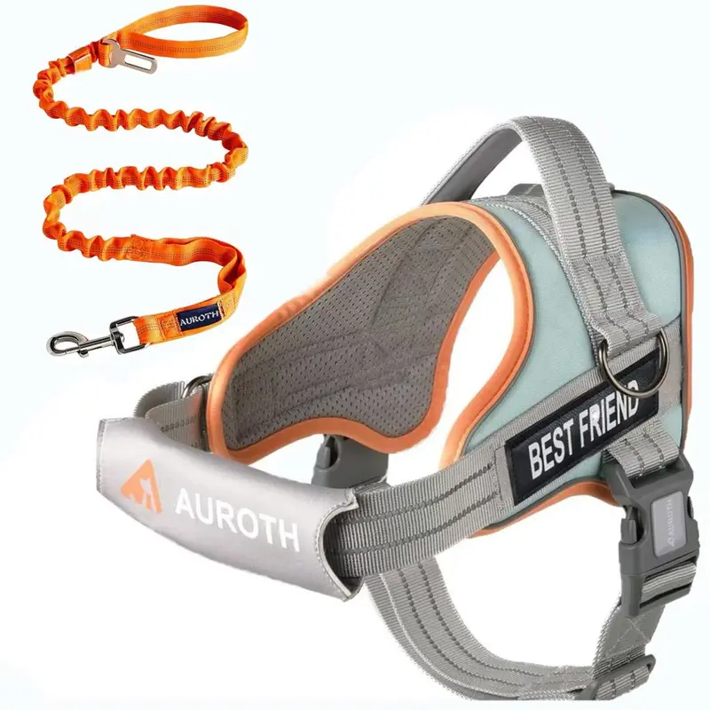 AUROTH No-Choke No-Pull Dog Harness and Leash Combo, Nylon Fabric with Elastic Band, Reflective Strips, Detachable Design, Handy D-Ring, Soft Padded, Adjustable, Easy On & Off for Walking, Training (Small/Medium/Large Dogs)