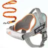 AUROTH No-Choke No-Pull Dog Harness and Leash Combo, Nylon Fabric with Elastic Band, Reflective Strips, Detachable Design, Handy D-Ring, Soft Padded, Adjustable, Easy On & Off for Walking, Training (Small/Medium/Large Dogs)