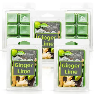 5 Pack - Ginger Lime - Fruity Ginger Lime Scented Melt- Maximum Scent Wax Cubes/Melts - 2 Ounces x 5 Packs = 10 Ounces