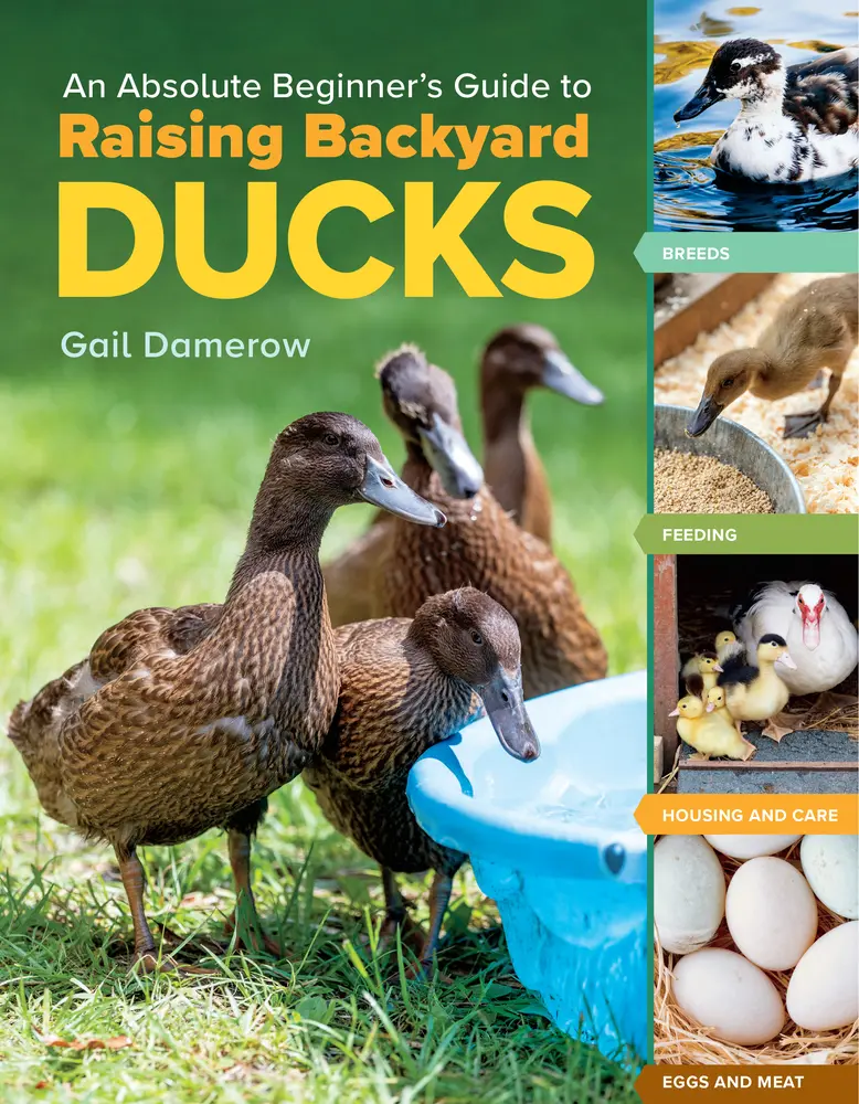 USED Book - An Absolute Beginner's Guide to Raising Backyard Ducks: Breeds, Feeding, Housing and Care, Eggs and Meat by Damerow, Gail (Paperback) - english