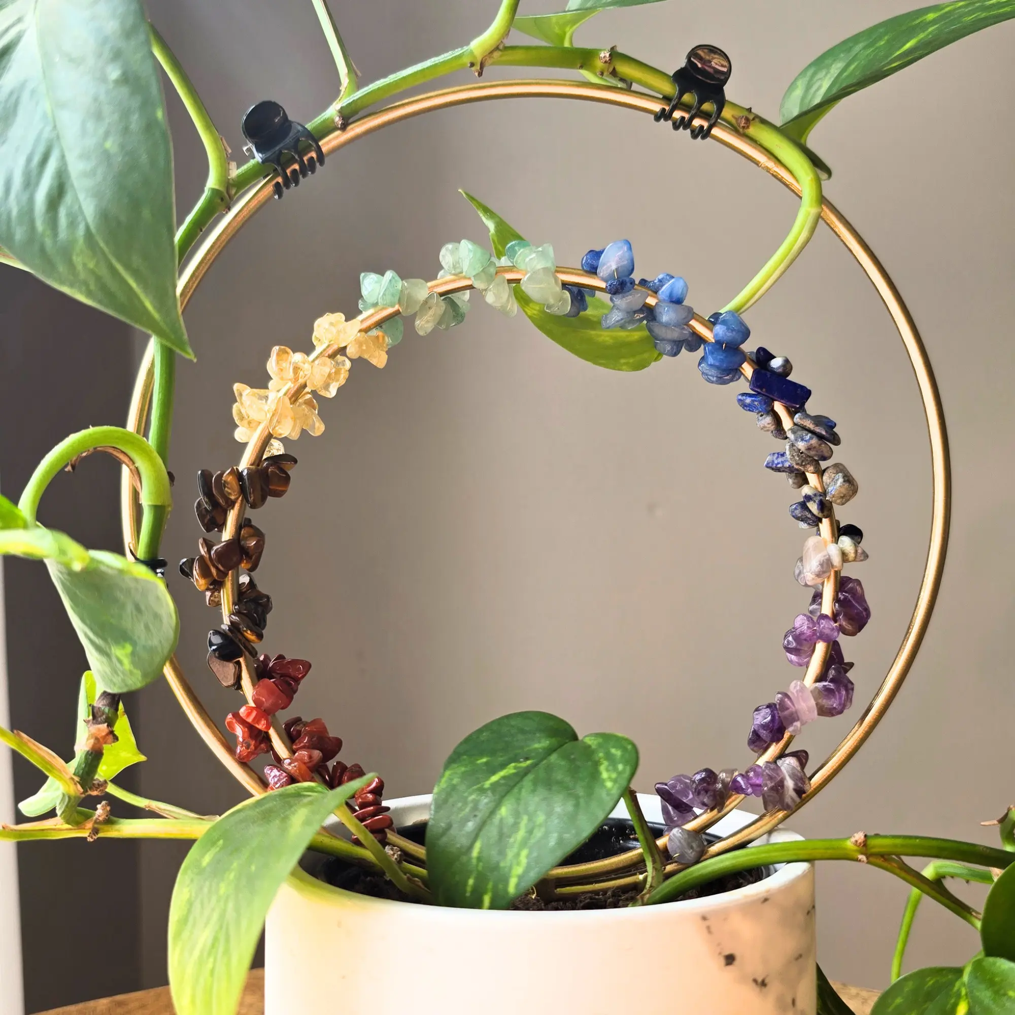 Double Loop Trellis
