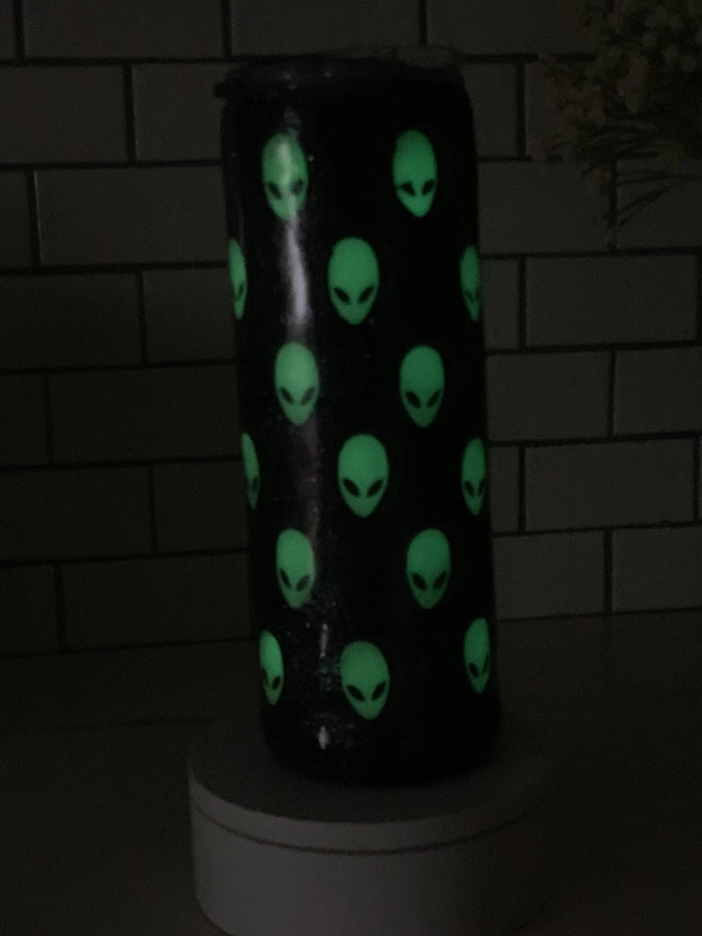 Reusable Glow in the Dark Alien Heads 20 oz Stainless Steel Tumbler with Lid and Straw Insulated Double Walled Portable Drinkware Flasks