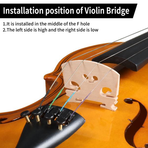 4/4 Full Size Kit For Beginners - Hand Carved Acoustic Violins Set - Fiddle Solid Wood Kit with Hard Case, Bow, Rosin, Shoulder Rest Full Size 4/4 Violin Set for Adults Beginners Students with Hard Case,Violin Bow,Shoulder Rest,Rosin,Extra