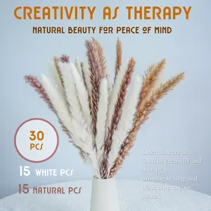 30Pcs Dried Pampas Grass Bouquet White And Natural Mini Reed Stems For Diy Boho Home Wedding Decor angel  tree  gift