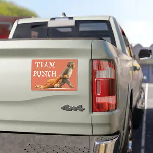 Team Punch The Monkey Magnet Car, Cute Monkey Magnet, Abandonment Baby Monkey Car Magnet