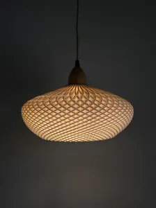 Stellar Pendant Light