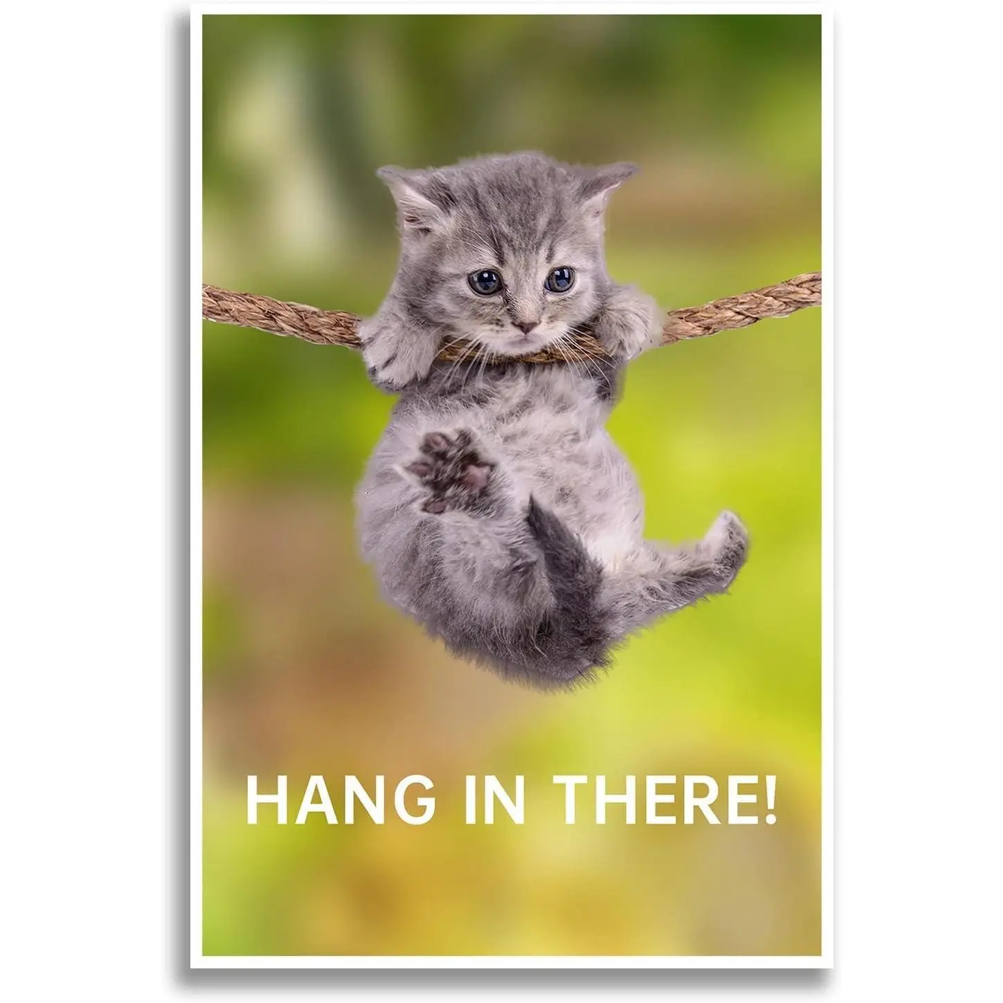 Hang in There Cat Poster - Funny Motivational Wall Art, Inspirational Print Canvas for Home Living Room Bedroom Decor (12*18inch No Framed)