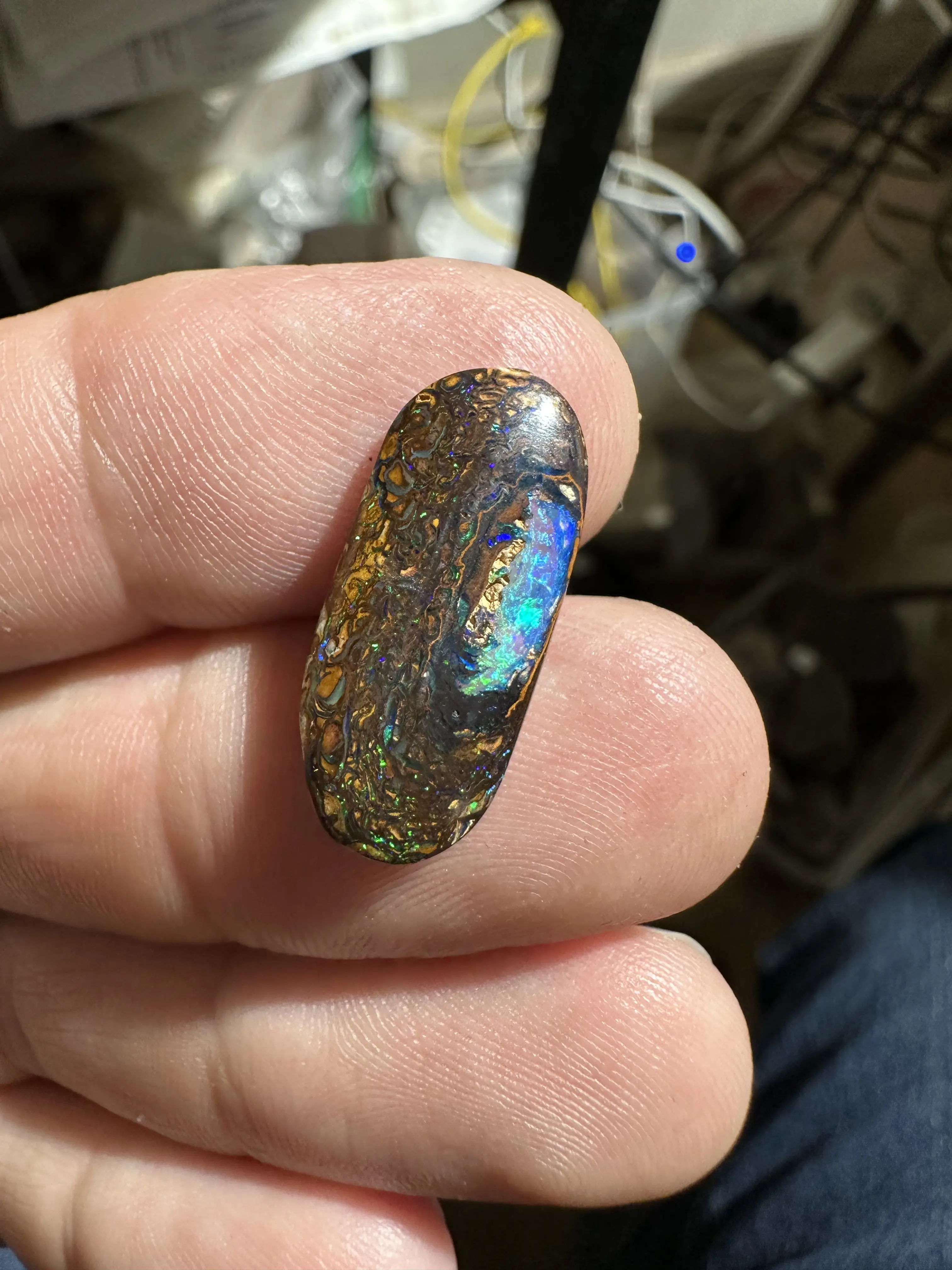 Australian Boulder Opal 8.5 Carats, High Grade Freeform Nut Cabochon with Blue, Green and Purple Fire, Polished Old Stock Gemstone, 23.30 x 10.50 mm