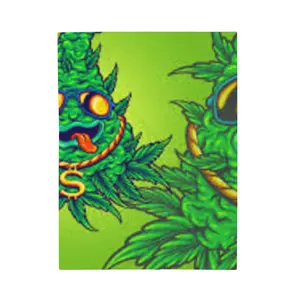 Laylo Velveteen Plush Blanket