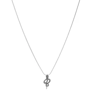Vintage punk snake sweater chain pendant personalized trendy man versatile python titanium steel necklace