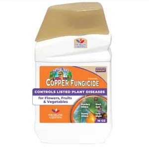 Bonide Captain Jack Copper Fungicide 16 oz Concentrated Plant Disease Control Solution for Organic Gardening