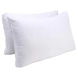 Coop Sleep Goods Essence Queen Adjustable Pillow 2-Pack