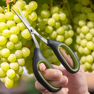 Elegant Grape Scissors, Sharp Blade Design Protects Fruits, Comfortable Non-Slip Handle, Ideal for Daily Use & Fruit Trimming