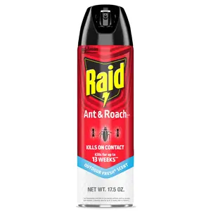 Raid Ant & Roach Killer Spray 17.5oz – Fresh Scent, Kills Listed Bugs on Contact, Keeps Protecting for Weeks