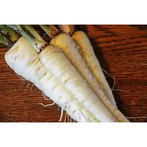 Parsnips Seeds- Harris Model