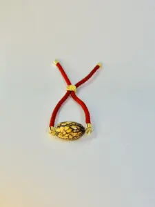 Zayahua Sacred Seed Bangle from the Amazon Indigenous Symbol of Connection with Nature and Forest Spirits Cultural Significance Spiritual Value Sizes 6 to 8