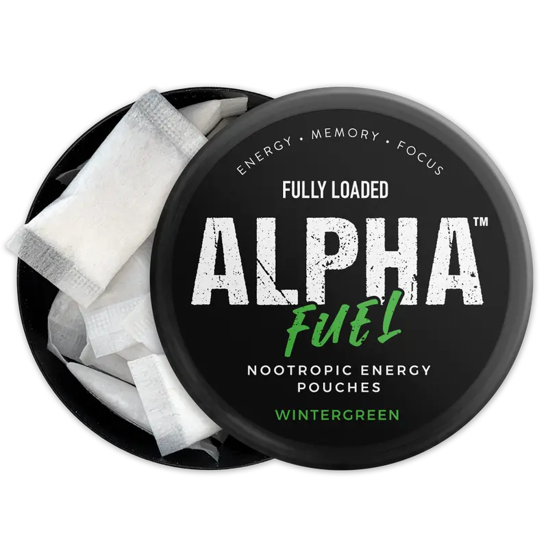 ALPHA Fuel Nootropic Wintergreen Energy Pouches by Fully Loaded - Energy, Focus, Memory - Sugar Free Sport Beverage