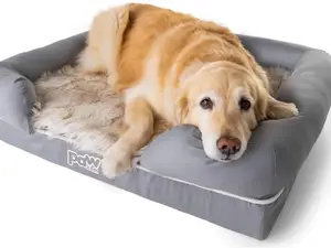 Paw PupLounge Memory Foam Bolster Bed & Topper