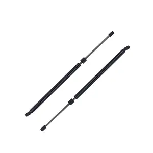 2x Lift Support Gas Strut Tailgate Shock Fits Nissan Murano 2015-2022