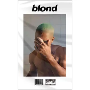 Generic Frank Singer Ocean Tapestry40x60 inch Blond Music Album Flag Art Tapestry Funny Flag For Bedroom Indoor College Dorm Room Decor Fans Gift Decoration Items Vinyl