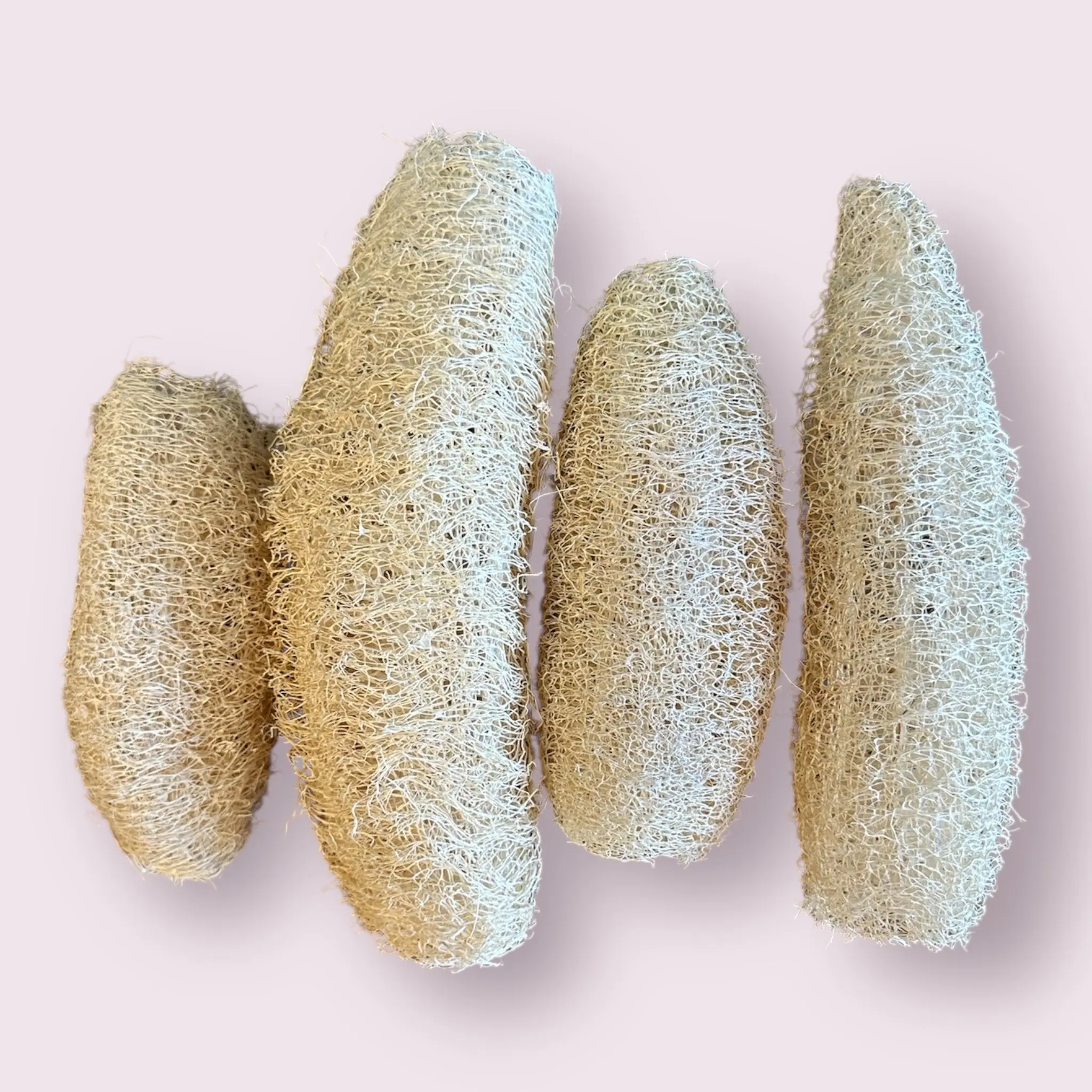Natural Loofah Natural Loofah