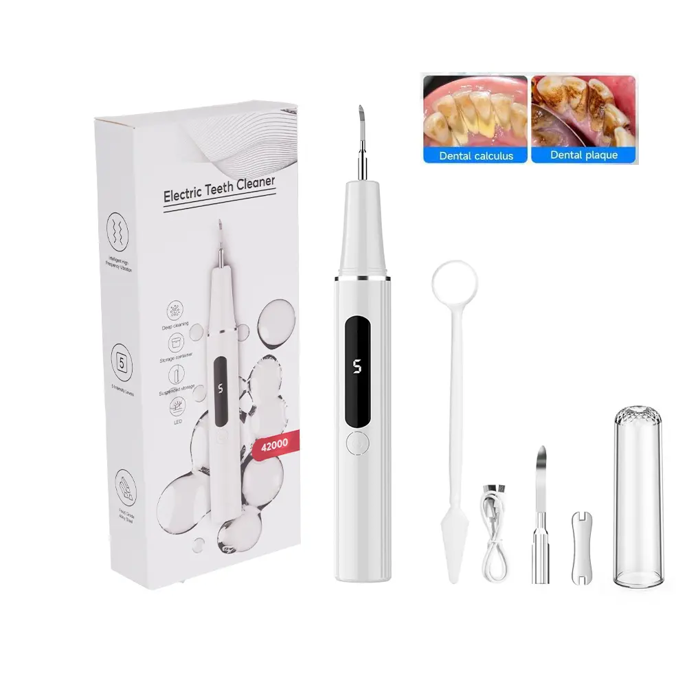 Electric Oral Plaque Remover Kit - Rechargeable USB Charging Stainless Steel Dental Scaler with LED Light, Adjustable Modes, Portable Device, Includes 2 Heads for Adults