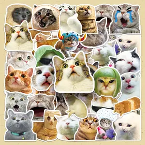 Cat Pattern Sticker, 50pcs/set Creative Cute Cat Pattern Decorative Sticker, DIY Decals for Scrapbooking, Journaling, Gift Wrapping Adhesive Stickers, Funny Stickers, Stickers Kit