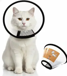 Pet Recovery Collar for Cats & Dogs - Soft-Edge, Adjustable, Breathable Translucent Plastic Cone for Wound Healing, Surgery Recovery