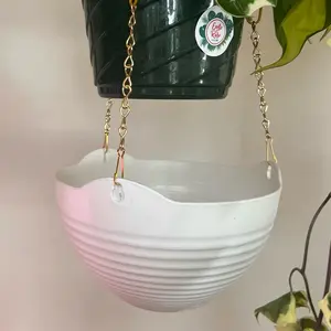 Exotic & Rare Plantshop Handmade catch trays