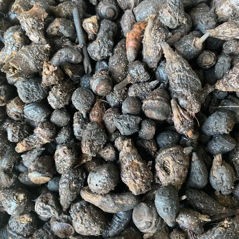 Gueni African Incense/Woussoulan / Gowe- Great for cooking smell/ 16oz