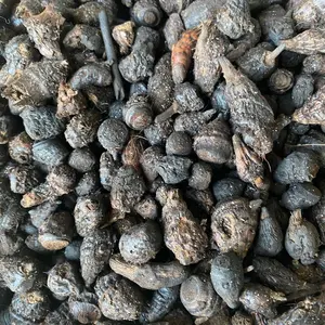 Gueni African Incense/Woussoulan / Gowe- Great for cooking smell/ 16oz