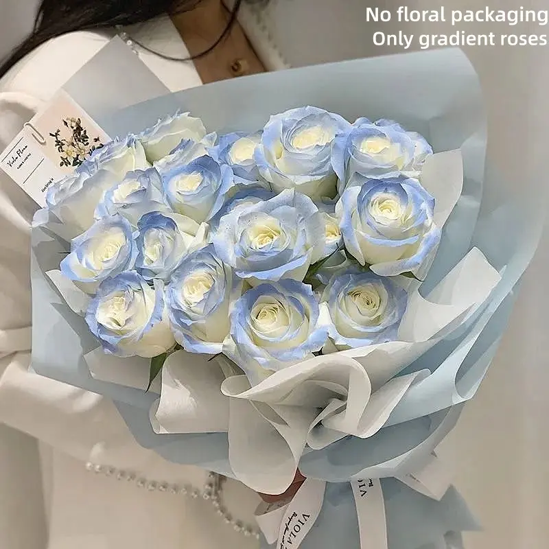 12-Piece Set Ice Blue Artificial Silk Roses with Stems - Auspicious Decorative Fake Flower Bouquets for Daily Home Decor, Birthday Celebrations, Business Events, Granola