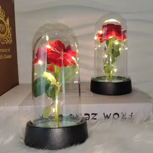 LED Light Eternal Rose, 1 Count Romantic Acrylic Artificial Rose Gift, Glass Dome Rose Flower Jewelry for Wedding, Anniversary, Birthday (with Battery), Light Up Rose