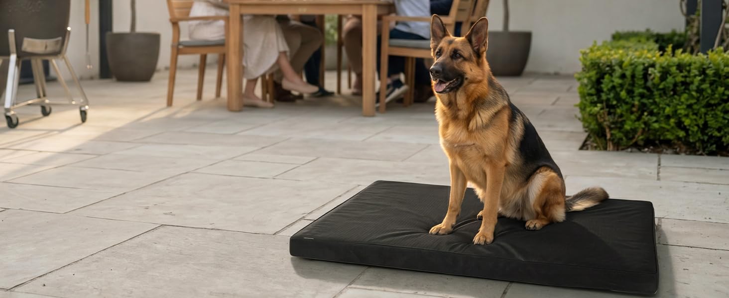 Orthopedic Dog Bed for Large Aggressive Chewers - Parachute Tough Striped Fabric, Chew-Resist. & Scratch-Resistant, 4" Joint Support Foam, Self-Cooling Modern Dog Mattress for Longevity Orthopedic Dog Bed for Large Aggressive Chewers - Parachute Tough Striped Fabric, Chew-Resist. & Scratch-Resistant, 4" Joint Support Foam, Self-Cooling Modern Dog Mattress for Longevity
