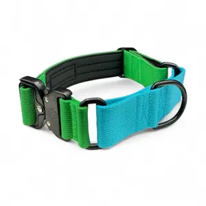 Vibrant Green & Blue Two Tone Martingale Dog Collar