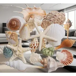 Natural Beach Seashells Mixed Collection - 20 Varieties of Large Ocean Shells 1.5"-5.5" - Assorted Sizes for Beach Theme Decor - Includes Starfish for Fish Tank & Home Decoration - Perfect for Wedding Party Decor