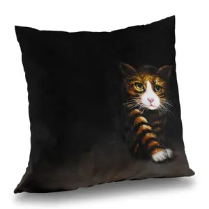 360 Stand Discreet Cat Feline Bedroom Poly Twill Throw Pillow Insert, 14x14 in Throw Cushion Insert (C1PT1414N5G1EC)
