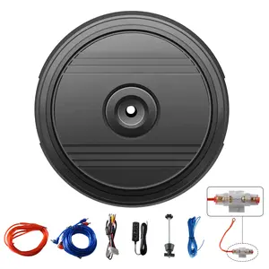 12 Inch 800-watt car sparetire subwoofer