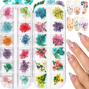 2 Boxes 3D Real Dried Flowers for Nail Art, Colorful Mini Natural Gypsophila & Five Petal Flower Leaf Stickers, Mixed Tiny Petals Decoration Kits for Resin Jewelry DIY Crafts Manicure Accessories