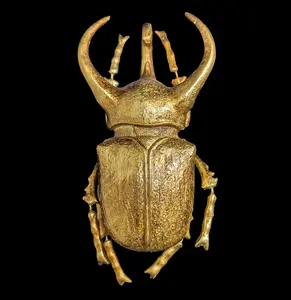 Gold Rhino Beetle Wall Décor