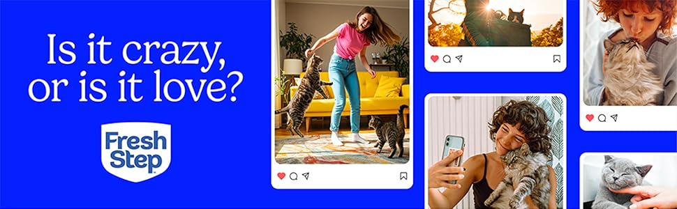 Fresh Step Clumping Cat Litter, Multi-Cat, Long Lasting Odor Control Kitty Litter with Activated Charcoal, Low Dust Formula, 14 lb