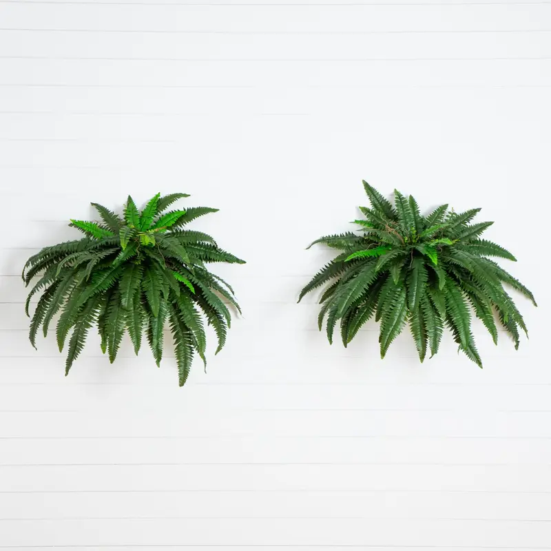NEARLY NATURAL 2-Piece Set 48-in Faux Boston Fern Decorative Greenery Fake Plants, Low-Care Fake Potted Plant Hanging Home Decor for High Shelf Display