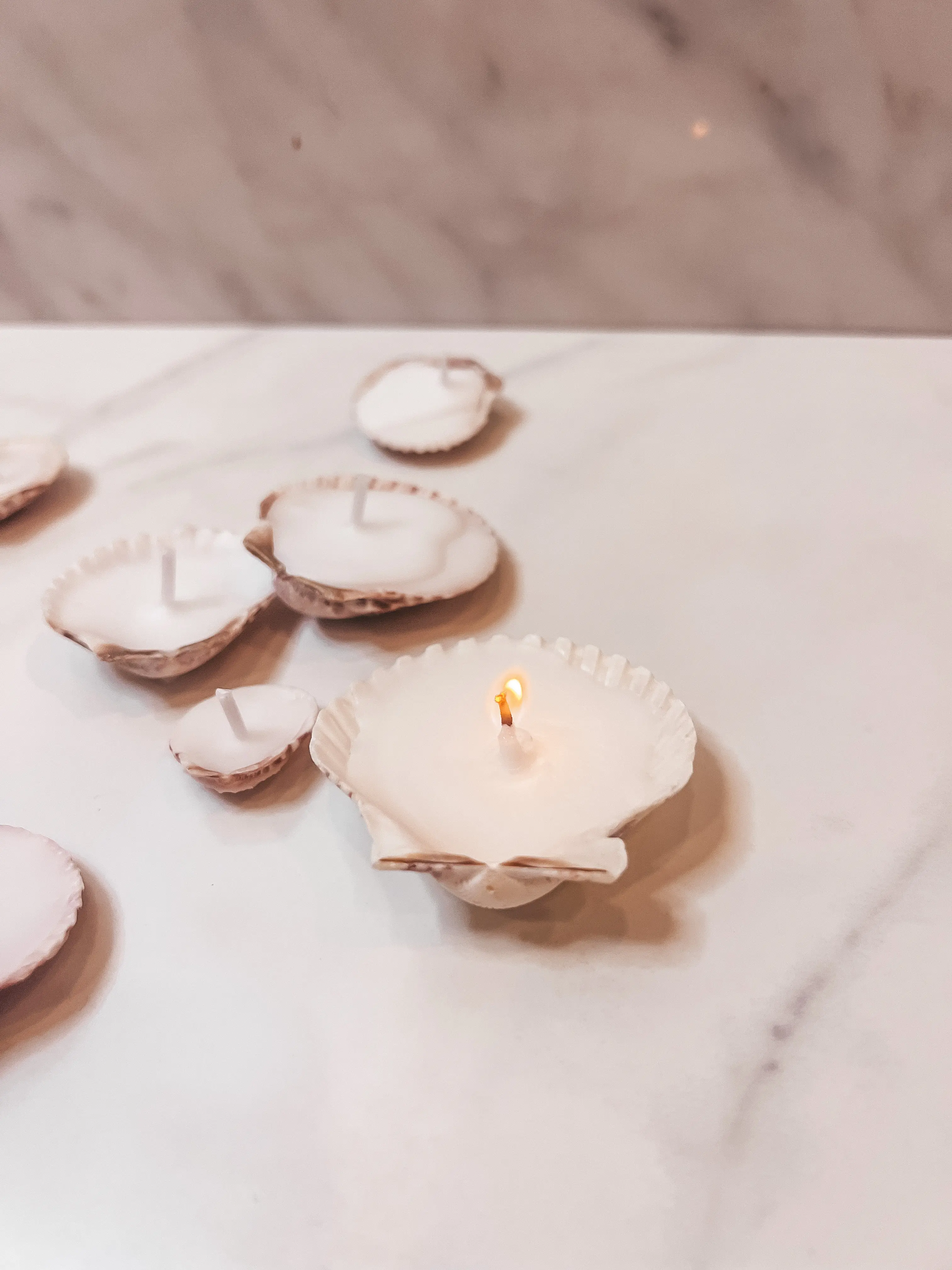 Sea Shell Candles