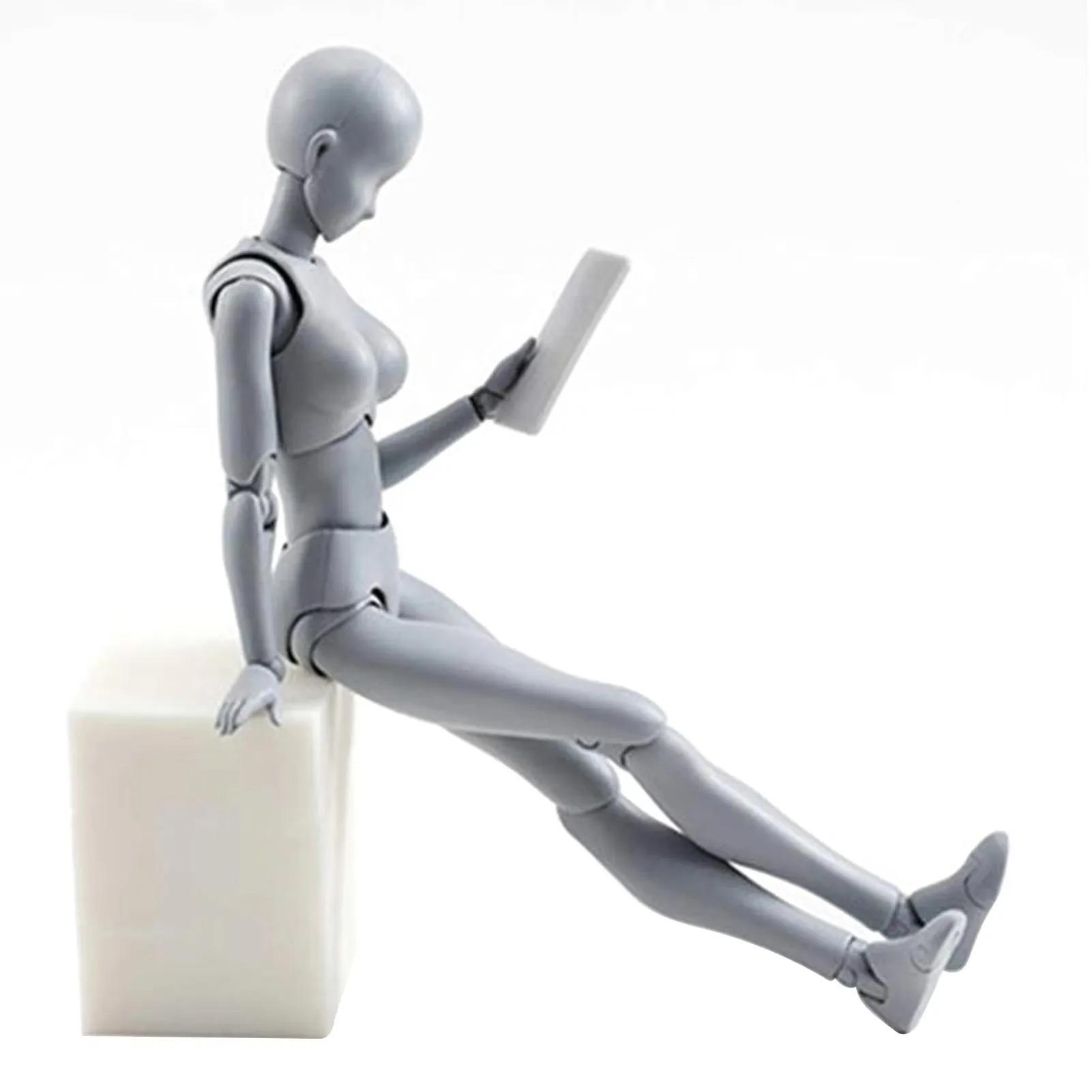 Sketch Draw Figurines Male Female Movable Body Kun Body Chan Joint Pain Anime Figure Shf Action Figure Toy Model Draw Mannequin