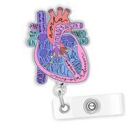 Heart Anatomy（1PCS）