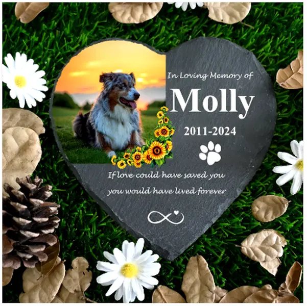 Personalized Pet Memorial Stone with Photo Printing, Loss of Dog Cat Gift